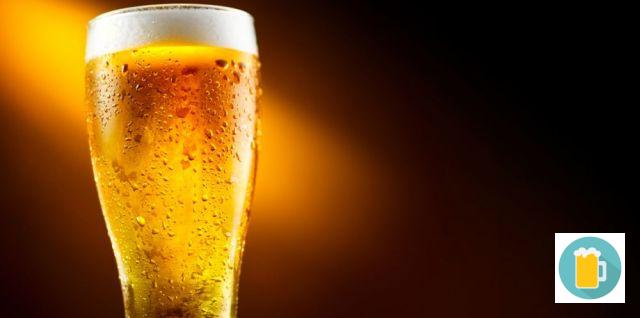 Lager: Características e tipos