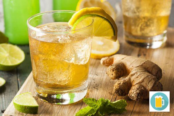 Ginger Beer: Characteristics and Types