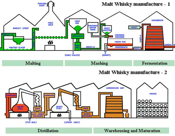 Best Whiskey: the 7 TOP in the world [GUIDE 2021]