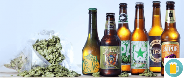 The Beer IPA : Characteristics and types