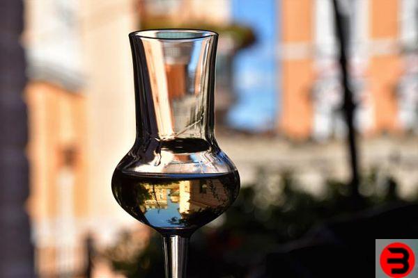 What is brandy and what is the difference with grappa?