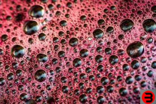¿Qué es la fermentación maloláctica?