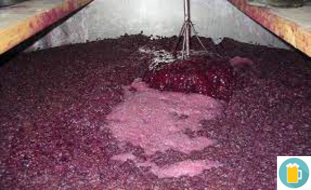 How the wine fermentation process takes place