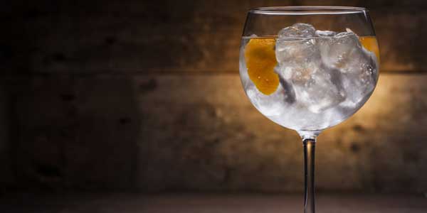 Meilleur Gin: 8 TOP [GUIDE 2021]