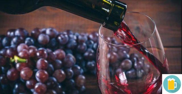Vinificación y fermentación de vinos tintos